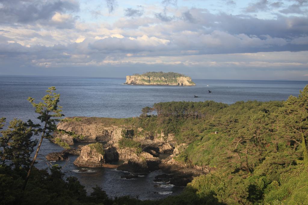 Good Day Pension Seogwipo Bagian luar foto